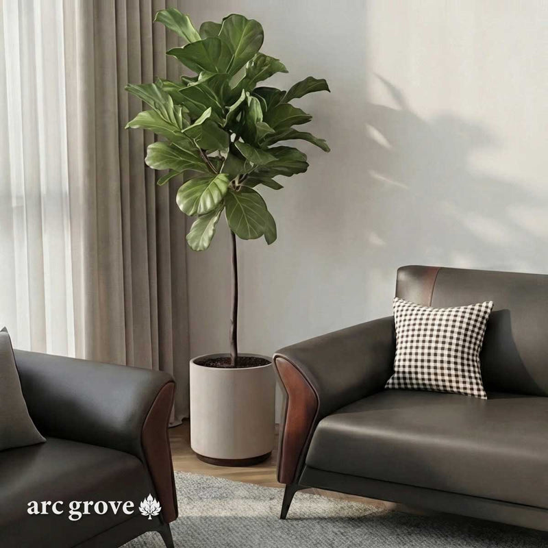 Kiruna · Office Waiting Area Lounge Seating