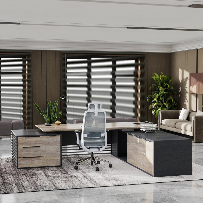 Anderson ยท Modern L-Shaped Executive Desk, Adjustable Height