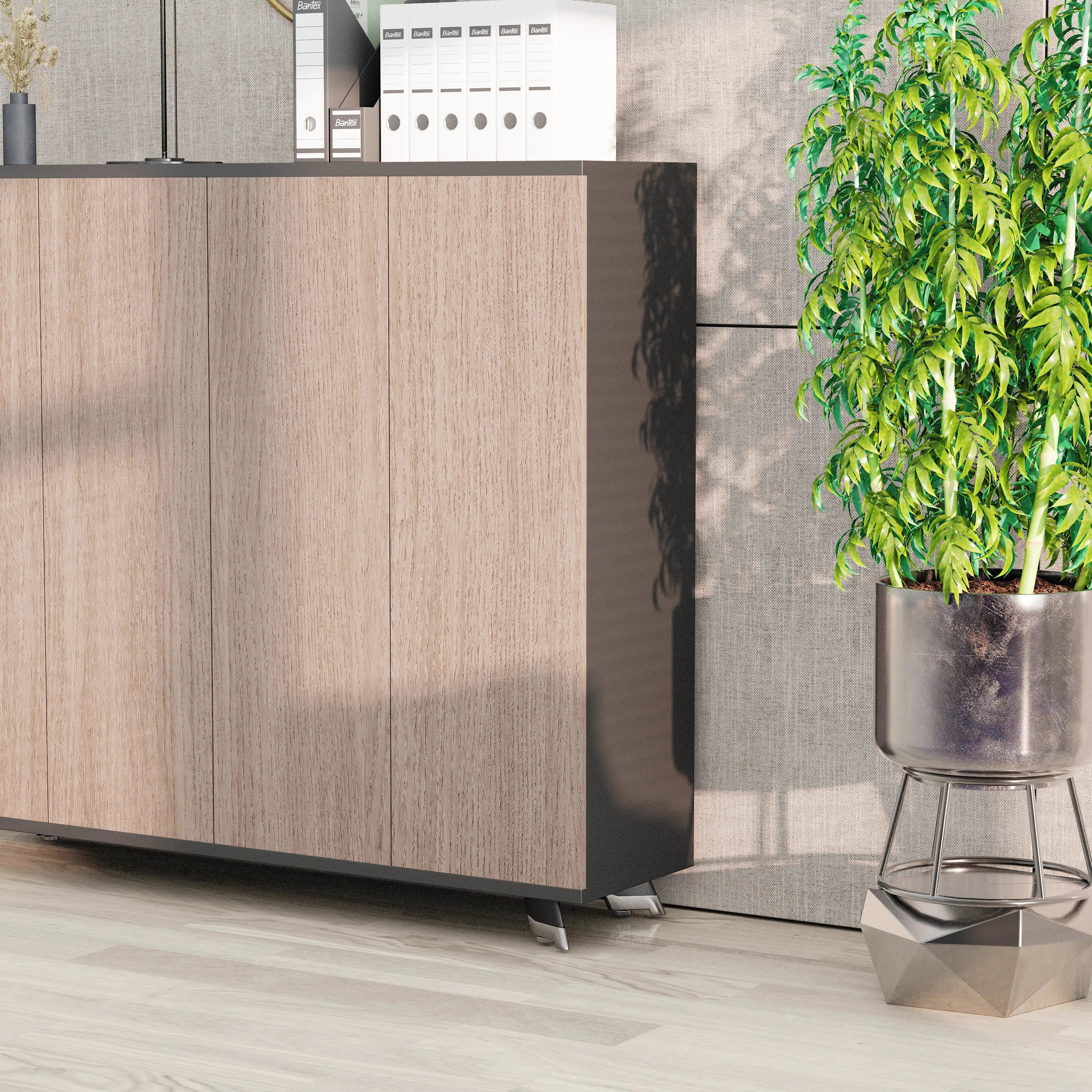 Ivanna ยท Office Credenza Cabinet Sideboard