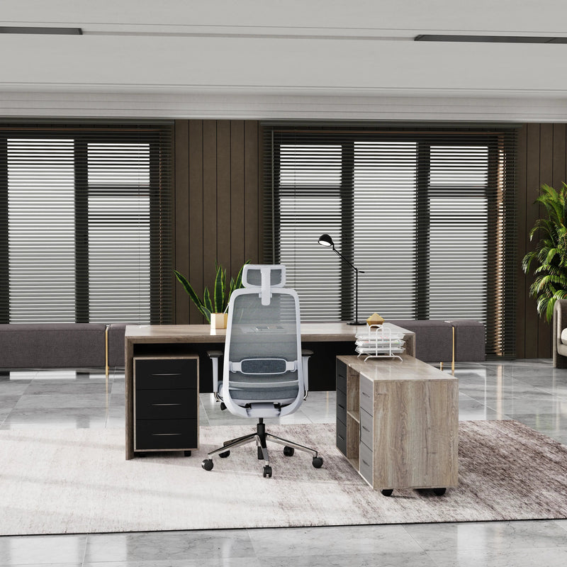 Neptune · Executive Desk w/ Mobile Storage