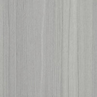 Silver Elm