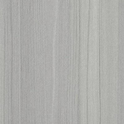 Silver Elm