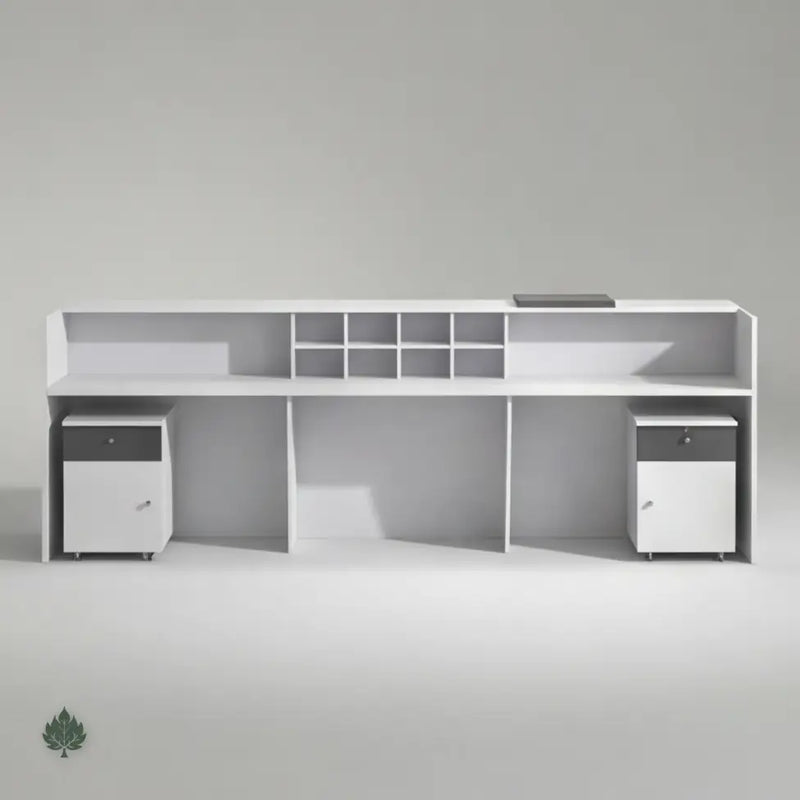Mirel · Front Reception Desk