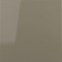 Glossy Light Gray