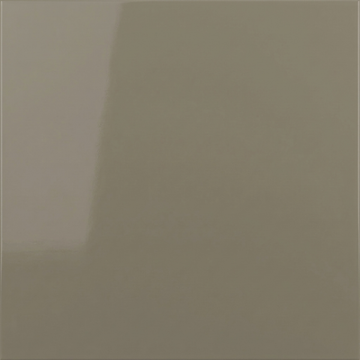 Glossy Light Gray