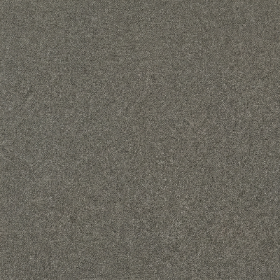 Iron Gray Shimmer