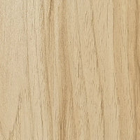 Sand Oak