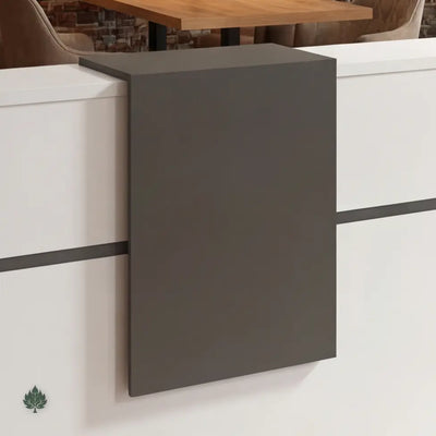 Seralyn · Front Reception Desk