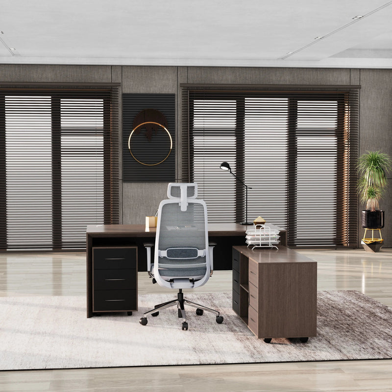 Neptune · Executive Desk w/ Mobile Storage