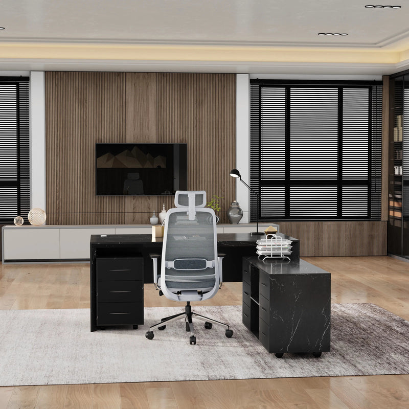 Neptune · Executive Desk w/ Mobile Storage